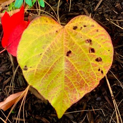 enicklow's profile picture. 