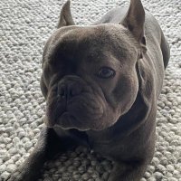 Mellud (@melludink) 's Twitter Profile