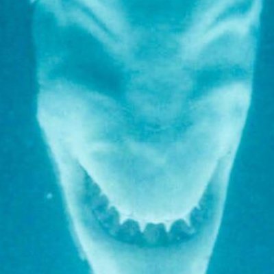 radio_rad1's profile picture. I like sound design