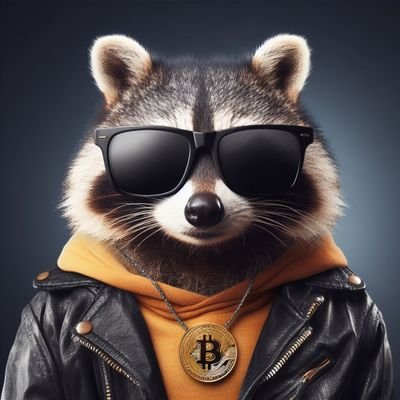 Shockooo's profile picture. 