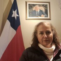 Mafalda Patriota🇨🇱🇨🇱🇨🇱(@susanaquilpue) 's Twitter Profile Photo