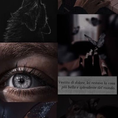 bandary50325's profile picture. 