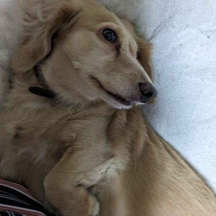 rirbCRCXlXAu1KQ's profile picture. ニックネームは、まあみです。
もう、若くないので気分良く過ごしたいと思います。