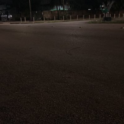 aloesiu's profile picture. PVH