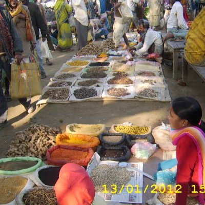 Interest and devotion to medical anthropological scholarship in/on Nepali society and culture. People from this planet. Create, Learn and Share Together.