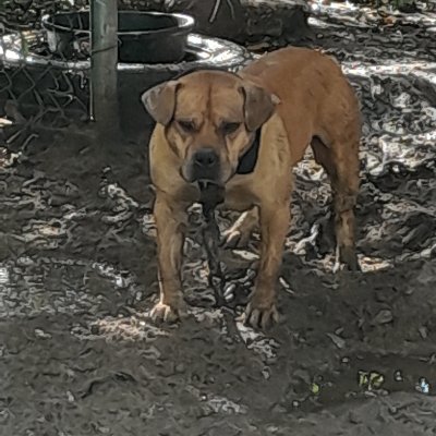 ChadchasedadS's profile picture. 