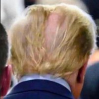 Magatroller(@Trumpisadick123) 's Twitter Profile Photo