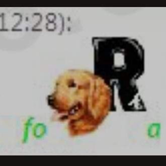 redburro1's profile picture. 