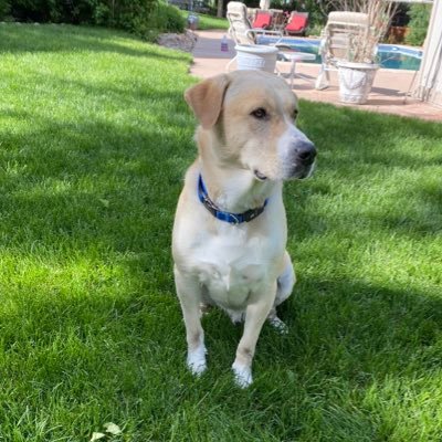 DanieceMundt's profile picture. 