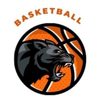Carter Elite Basketball (@carterelitebbal) 's Twitter Profile