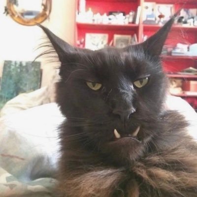 _hannahwathen's profile picture. ★☆✮☆★