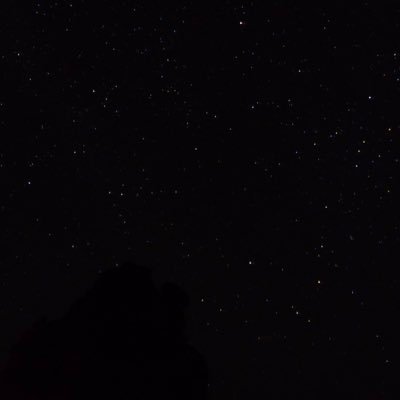 mehganheaton's profile picture. 