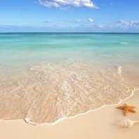 Olivch02's profile picture. Mod & CM: @Edo1PJ_NFT