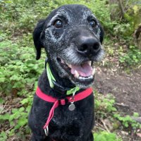Daisy Anderson (@omdais1) 's Twitter Profile