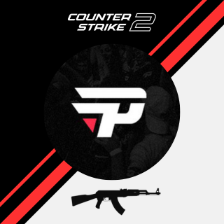 paiN Gaming CS2 Profile