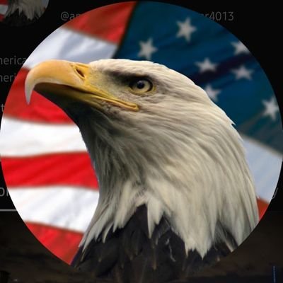 AdvaitPulekar's profile picture. My dreams propel me to reach my goals