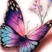 ليلى القريشي (@lyly1829542) Twitter profile photo