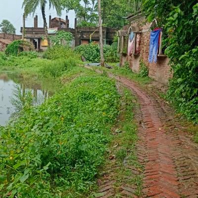 বাসন্তী । দক্ষিণ চব্বিশ পরগনা ।
সোনাখালি