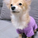 MIDORI (@05MIDO25) Twitter