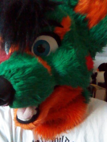 A Wolf Coyote with strips / Cuddly danger

FurAffinity:   http://t.co/D73t5LEdb0
Formspring:  http://t.co/xZG1R3GoIe