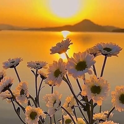 NuroiA's profile picture. 💜💜💜💜💜💜💜