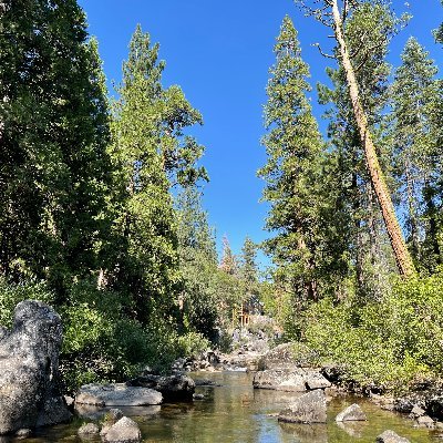 A picturesque 10 cabin resort on the South Fork Stanislaus River in Tuolumne County.