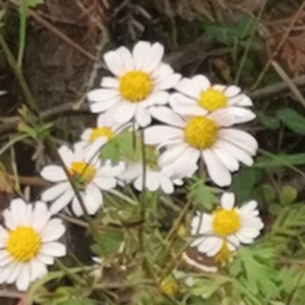 rain_creek's profile picture. 