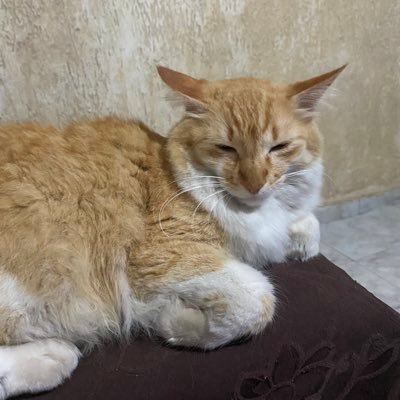 DAndrea17132660's profile picture. Beleza Inteligência