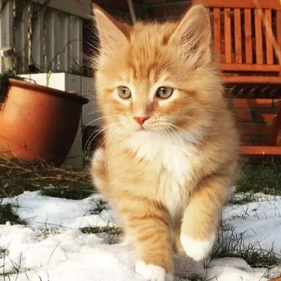 Forest_TMP's profile picture. Bet is the life , learning crpto trading , Poker lover