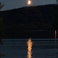 Christy Fennell (@christyfennell) 's Twitter Profile