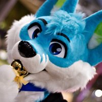 โ ๐๐น๐ช๐ฐ๐ฏโก (@axionhusky) 's Twitter Profile