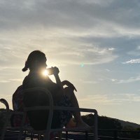 🦁みかさん🦁 (@m_mikasan) 's Twitter Profile