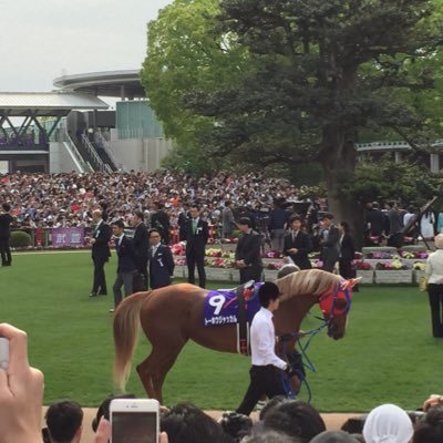baken_sepone's profile picture. @PIRUKURUGOKUN の競馬垢