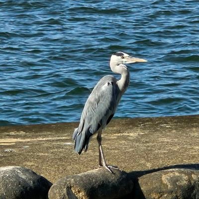 JuwonSeo13's profile picture. Age : 22