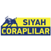 Siyah Çoraplılar Derneği (@fbsiyahcorapder) Twitter profile photo Siyah Çoraplılar Derneği (@fbsiyahcorapder) Twitter profile photo