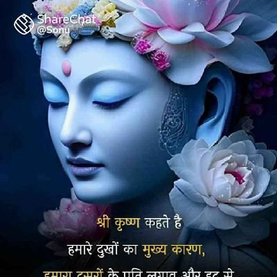 kashi94261's profile picture. 