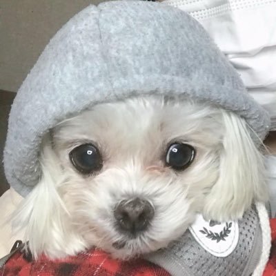노미さんのプロフィール画像