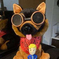 260 (@inthewww260) 's Twitter Profile