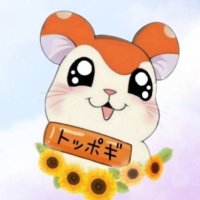 シン 【とことこ】フォロバ100%🐹(@another1616) 's Twitter Profile Photo