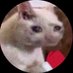 Classy (@class) Twitter profile photo Classy (@class) Twitter profile photo