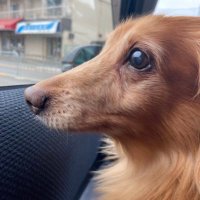 nagi (@8nagistyle_flap) 's Twitter Profile
