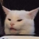 ELGATO (@elgato222391506) 's Twitter Profile Photo