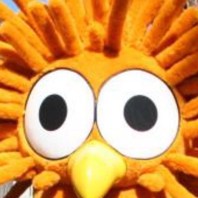 ochotona_deai's profile picture. データエンジニアです。