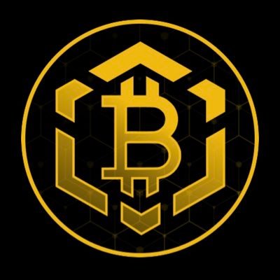 official support and guidelines of Bitcoin BSC is the eco-conscious BEP-20 adaptation of Bitcoin, residing on the BB Smart Chain.