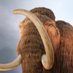 Mammut (@lilithelina) Twitter profile photo Mammut (@lilithelina) Twitter profile photo