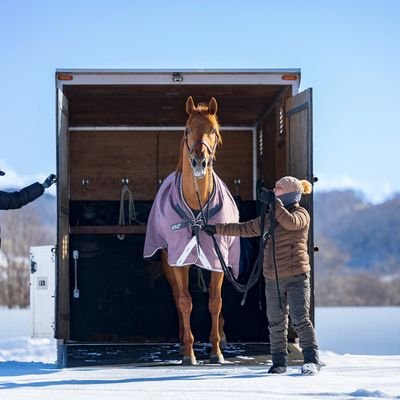 北の大地で365日がんばり馬っする🎵  

乳母🐴サラブレッド🏇生産🐎
サンバマウンテンファーム

カンチェンジュンガ🏇
ソノママソノママ👀
ジャックオレンジ🍊
ノボバカラは種馬
マコタイガ
ジャックパール
フューリアス🏇
ティンドラ👀
落合玄太
石堂響
小沢大仁