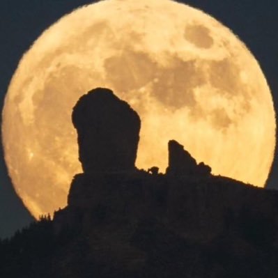 deniz_domingo's profile picture. 