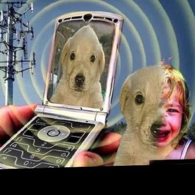 pigeons_and_co's profile picture. they/she