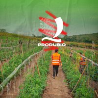 Produbio Congo (@produbiocongo) 's Twitter Profile Photo Produbio Congo (@produbiocongo) 's Twitter Profile Photo