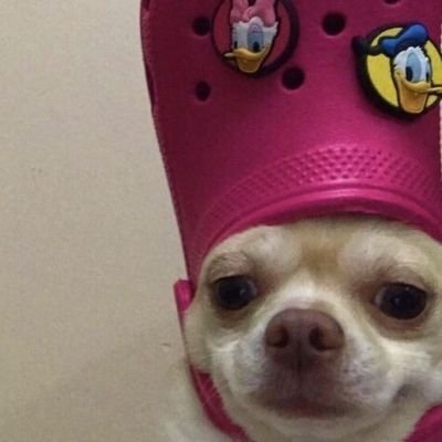 charizzaaaaa's profile picture. nakakaputangina